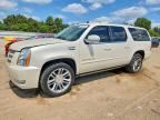 2013 CADILLAC ESCALADE