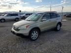 2008 HONDA CR-V