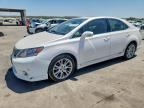 2010 LEXUS HS