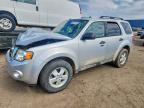 2011 FORD ESCAPE