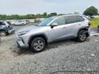 2024 TOYOTA RAV4 HYBRID