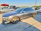 2016 AUDI S8