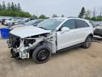 2019 CADILLAC XT4