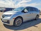 2025 HONDA ODYSSEY