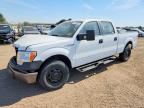 2013 FORD F150