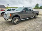 2013 FORD F150