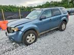 2010 FORD ESCAPE