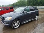 2014 MERCEDES-BENZ ML