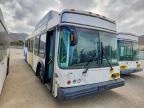 2010 EL DORADO AXESS
