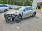 2019 LEXUS UX