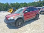 2009 HONDA CR-V