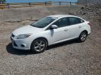 2013 FORD FOCUS