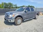 2013 FORD F150