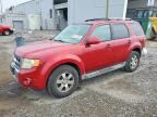 2011 FORD ESCAPE