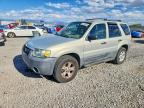 2005 FORD ESCAPE