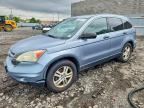 2010 HONDA CR-V