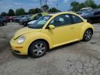 2006 VOLKSWAGEN NEW BEETLE