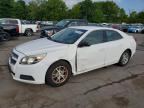 2013 CHEVROLET MALIBU