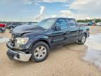 2013 FORD F150