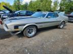 1971 FORD MUSTANG M1
