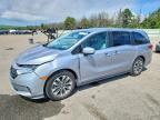 2022 HONDA ODYSSEY