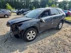 2005 LEXUS RX