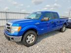2014 FORD F150