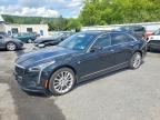 2019 CADILLAC CT6