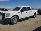 2015 FORD F150
