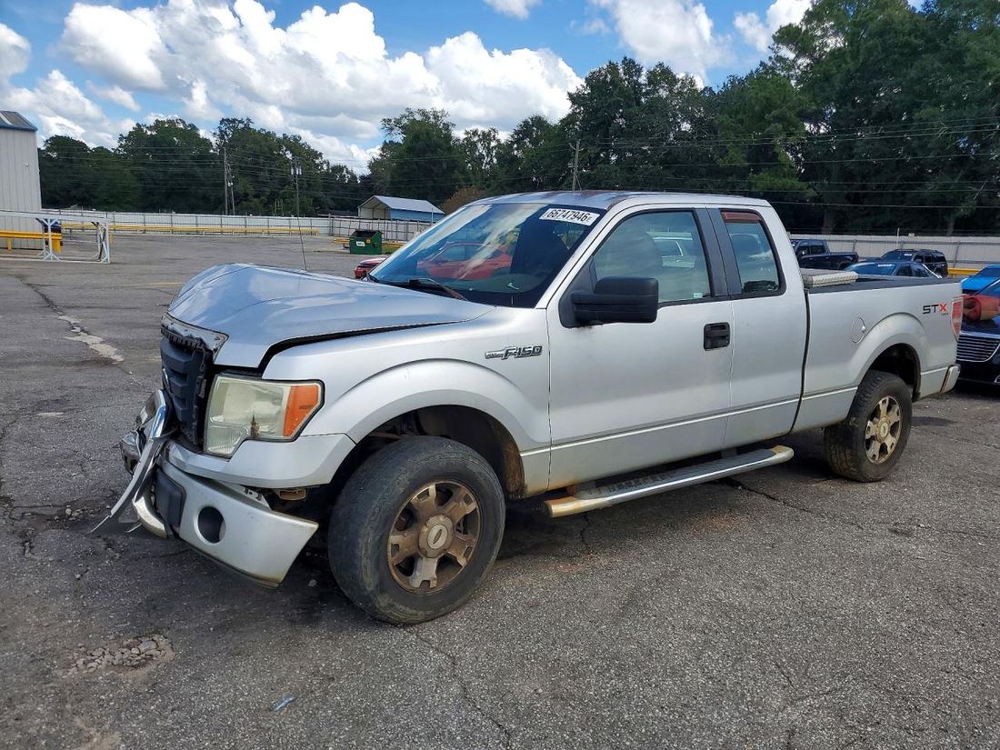 2010 FORD F150