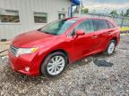 2011 TOYOTA VENZA