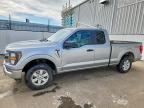 2023 FORD F150