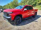 2019 CHEVROLET SILVERADO