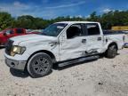 2010 FORD F150