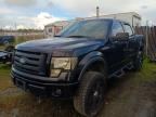 2010 FORD F150