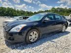2010 NISSAN ALTIMA