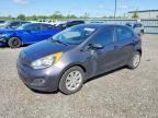 2013 KIA RIO