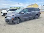 2026 HONDA ODYSSEY