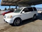 2006 HONDA PILOT