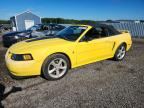 2003 FORD MUSTANG