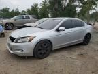 2010 HONDA ACCORD 4D EXL