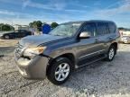 2013 LEXUS GX