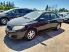 2009 TOYOTA COROLLA
