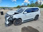 2021 LEXUS GX