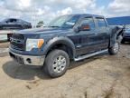 2013 FORD F150