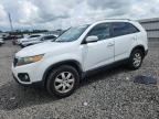 2011 KIA SORENTO