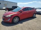 2014 HYUNDAI ELANTRA