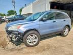 2010 HONDA CR-V