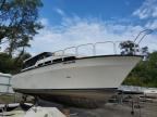 1988 MAINSHIP STAND