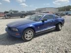 2005 FORD MUSTANG